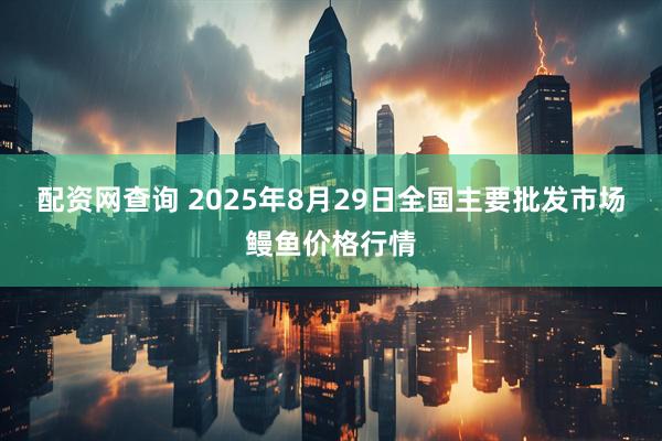 配资网查询 2025年8月29日全国主要批发市场鳗鱼价格行情