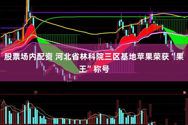 股票场内配资 河北省林科院三区基地苹果荣获“果王”称号